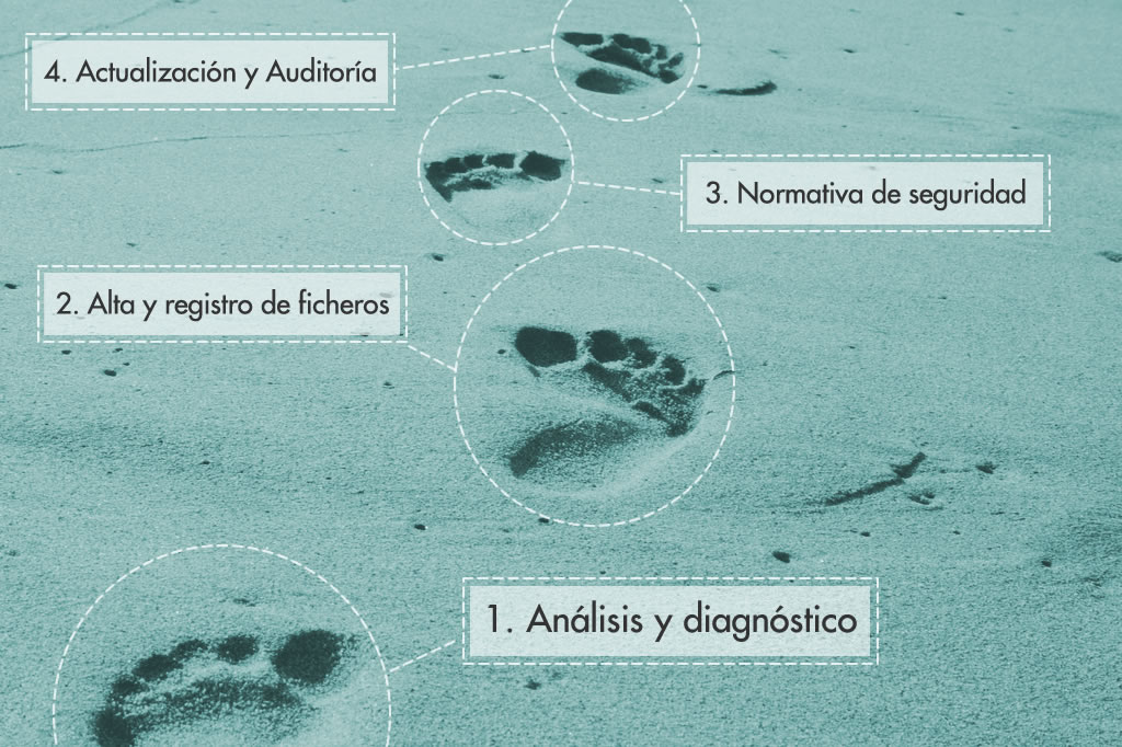 Conclusión infográfica | Adapta tu negocio en tan solo 4 pasos