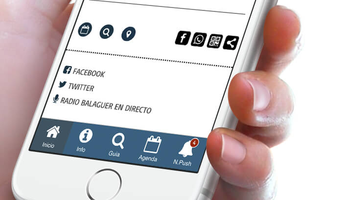 Conexi&oacute;n redes sociales